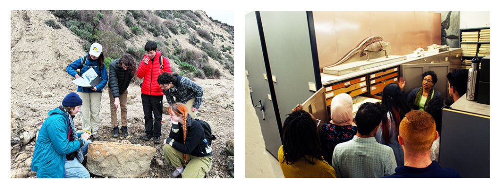 Two side-by-side images show educational fieldwork activities.Left image: A group of five people in outdoor gear are gathered around a rock formation on a hillside. They are examining whale fossil bones, with some taking notes. They're wearing hiking clothes and backpacks, positioned on rocky terrain with a scrubby hillside in the background. Right image: A group of students are gathered in the museum's collection halls. They're viewing fossil specimen displayed on a cabinet shelf, while assistant director Lisa White talks about the fossil. Storage cabinets with specimen drawers are visible in the background.
